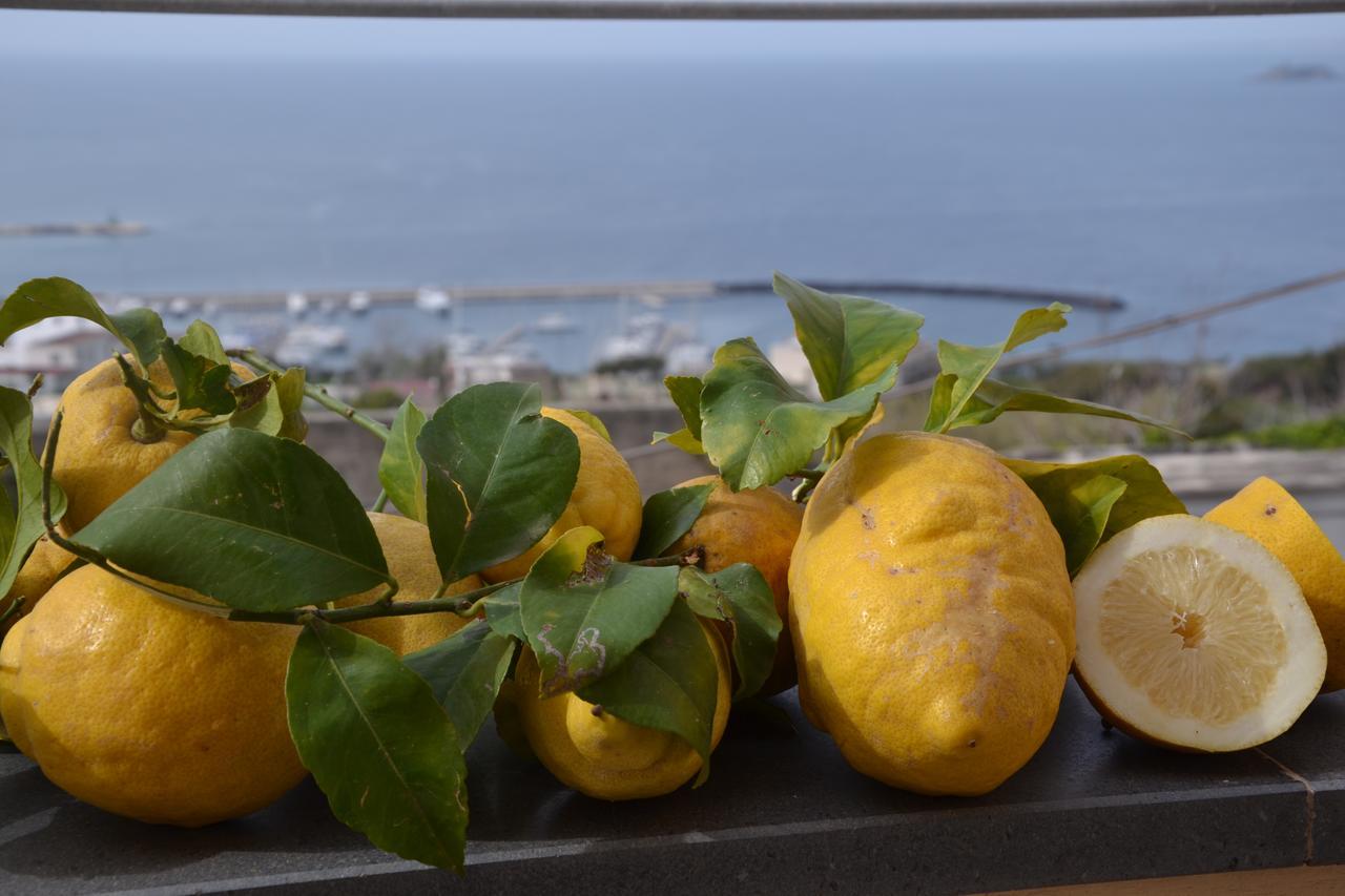 Terra Murata Boutique B&B Procida Buitenkant foto