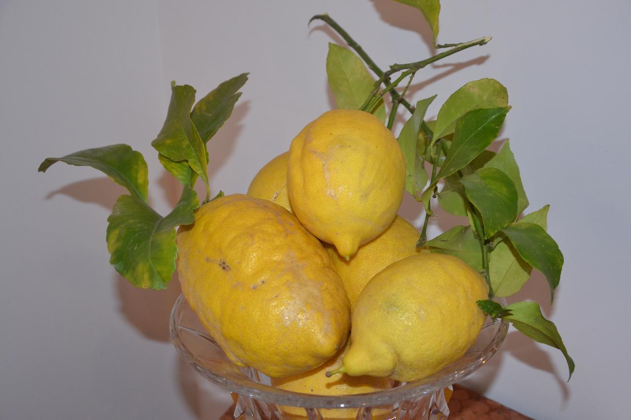 Terra Murata Boutique B&B Procida Buitenkant foto